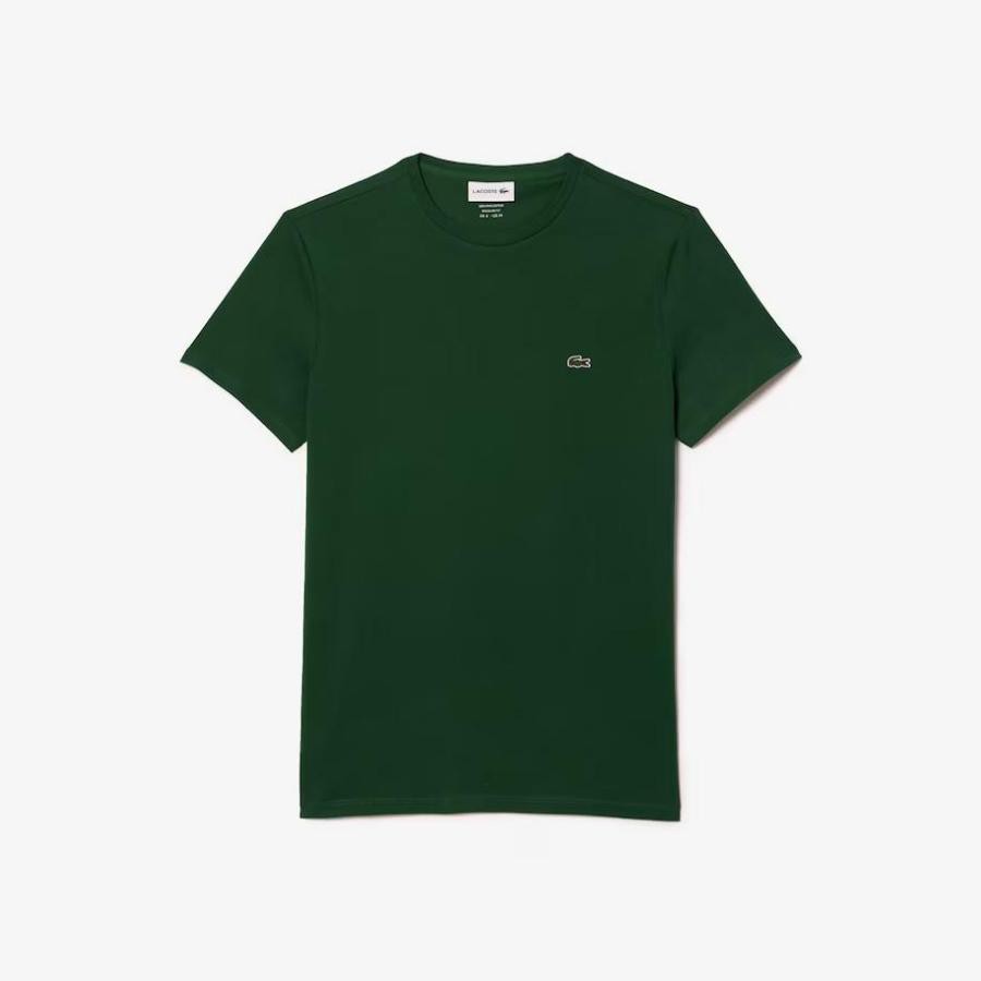 TH6709-LACOSTE